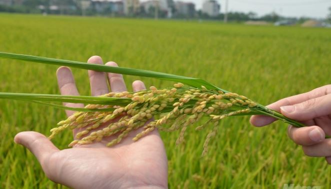 Truy xuất nguồn gốc | Quản lý giám sát | EGAP